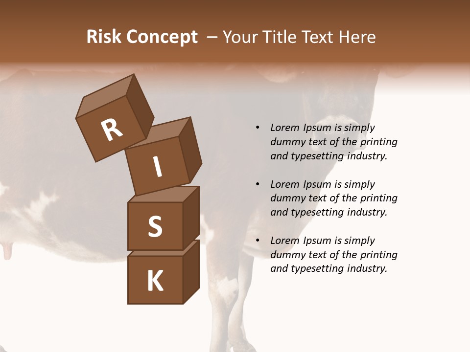 Brown Jersey Cow (10 Years Old) In Front Of A White Background PowerPoint Template