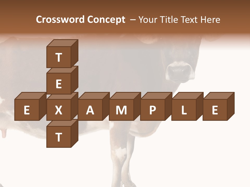 Brown Jersey Cow (10 Years Old) In Front Of A White Background PowerPoint Template