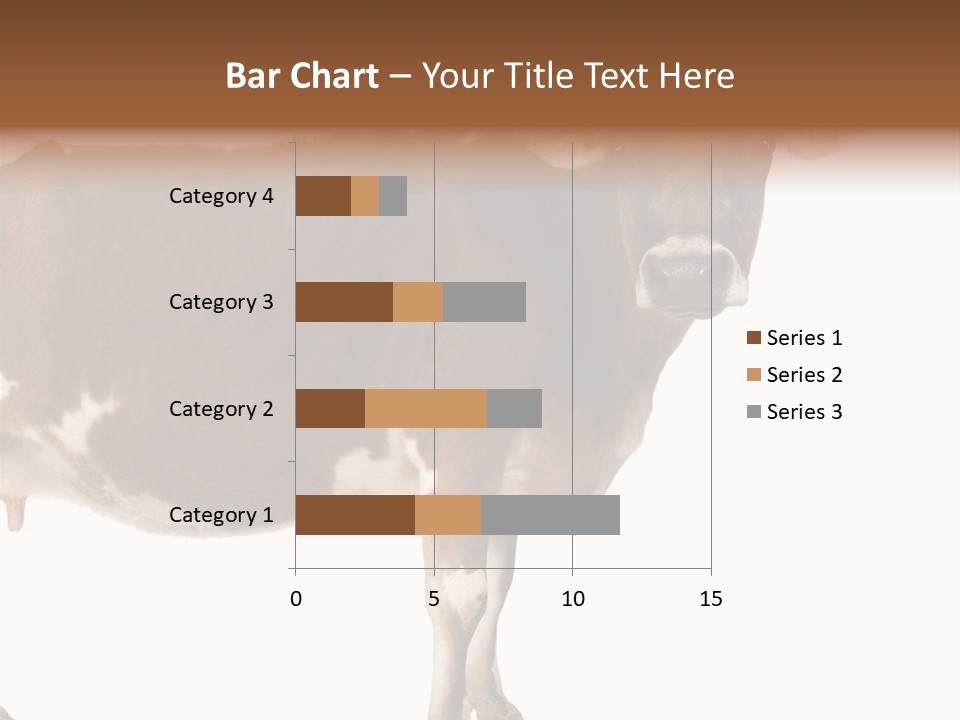 Brown Jersey Cow (10 Years Old) In Front Of A White Background PowerPoint Template