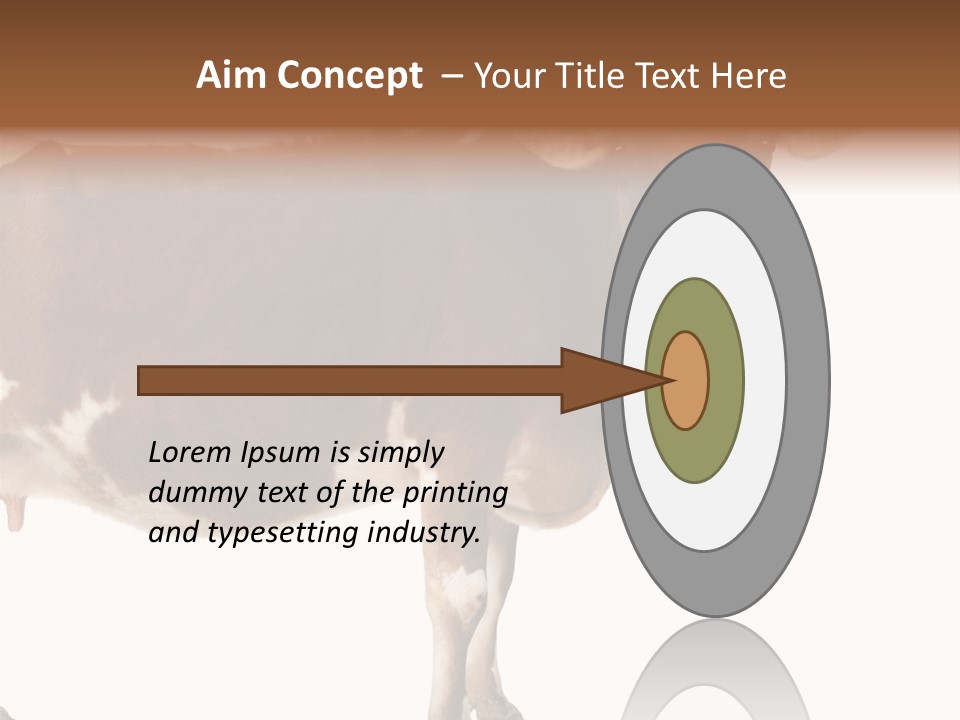 Brown Jersey Cow (10 Years Old) In Front Of A White Background PowerPoint Template