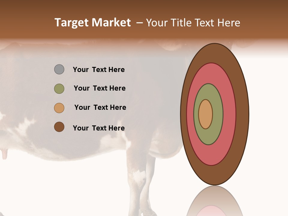 Brown Jersey Cow (10 Years Old) In Front Of A White Background PowerPoint Template