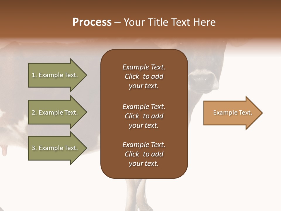 Brown Jersey Cow (10 Years Old) In Front Of A White Background PowerPoint Template