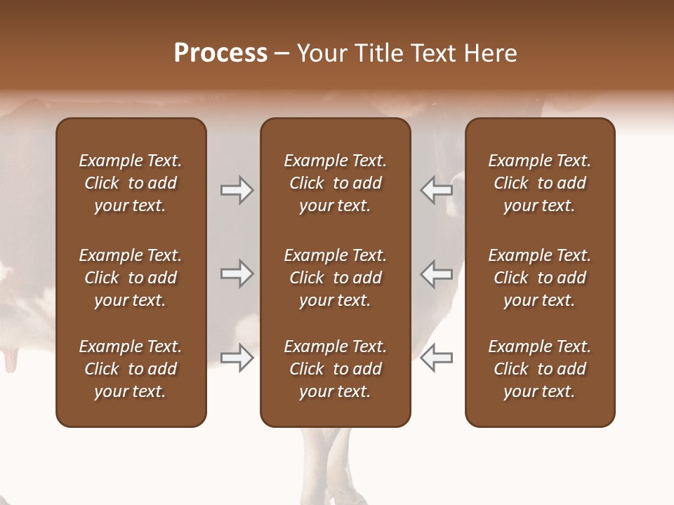 Brown Jersey Cow (10 Years Old) In Front Of A White Background PowerPoint Template