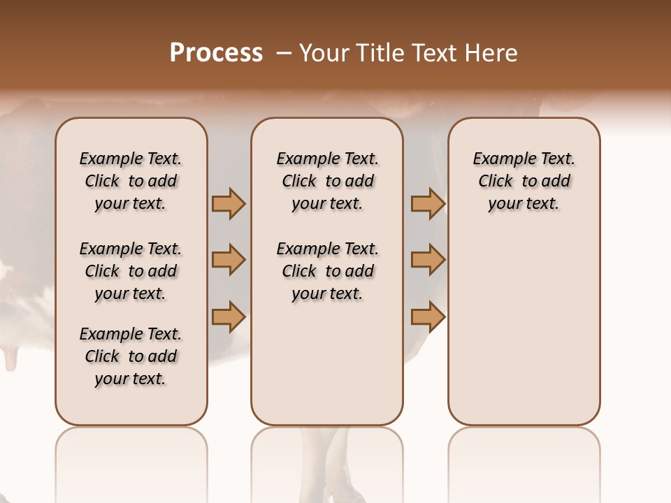 Brown Jersey Cow (10 Years Old) In Front Of A White Background PowerPoint Template