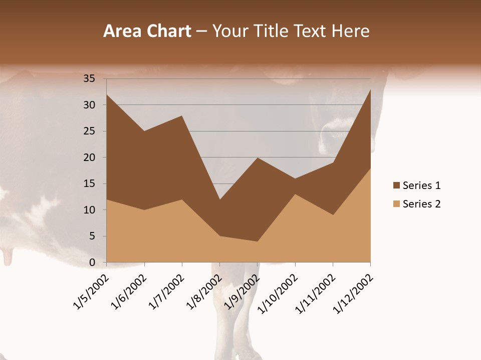 Brown Jersey Cow (10 Years Old) In Front Of A White Background PowerPoint Template