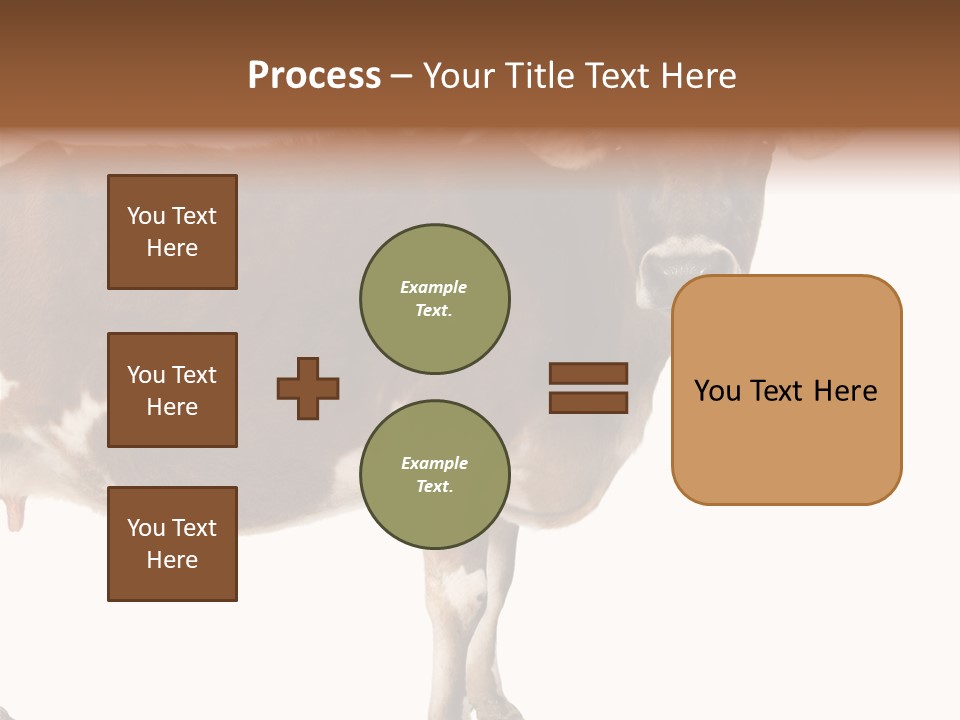 Brown Jersey Cow (10 Years Old) In Front Of A White Background PowerPoint Template