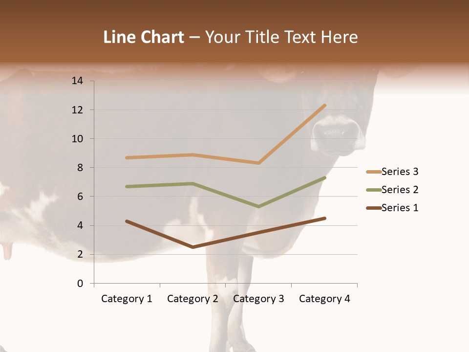 Brown Jersey Cow (10 Years Old) In Front Of A White Background PowerPoint Template