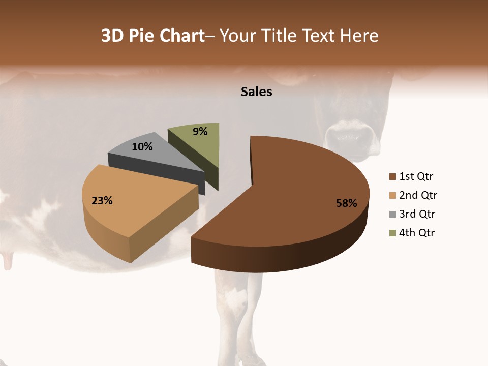 Brown Jersey Cow (10 Years Old) In Front Of A White Background PowerPoint Template