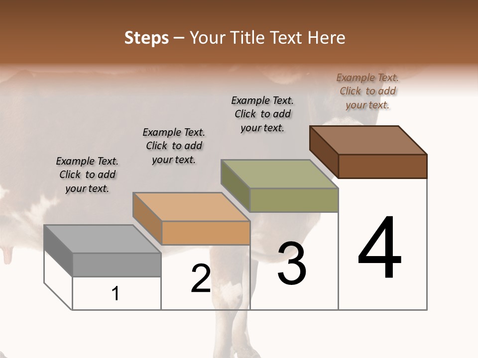 Brown Jersey Cow (10 Years Old) In Front Of A White Background PowerPoint Template