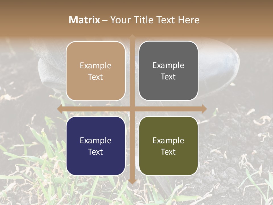 Human Head Shape With Butterflies Flying Out Of The Head PowerPoint Template