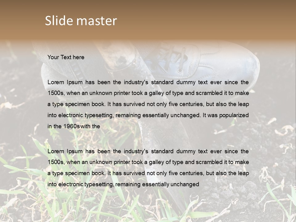 Human Head Shape With Butterflies Flying Out Of The Head PowerPoint Template