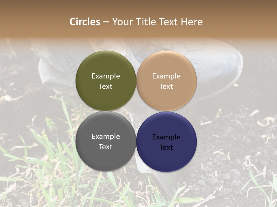 Human Head Shape With Butterflies Flying Out Of The Head PowerPoint Template