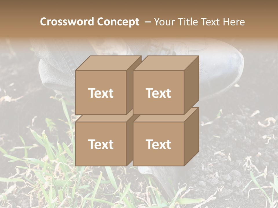 Human Head Shape With Butterflies Flying Out Of The Head PowerPoint Template