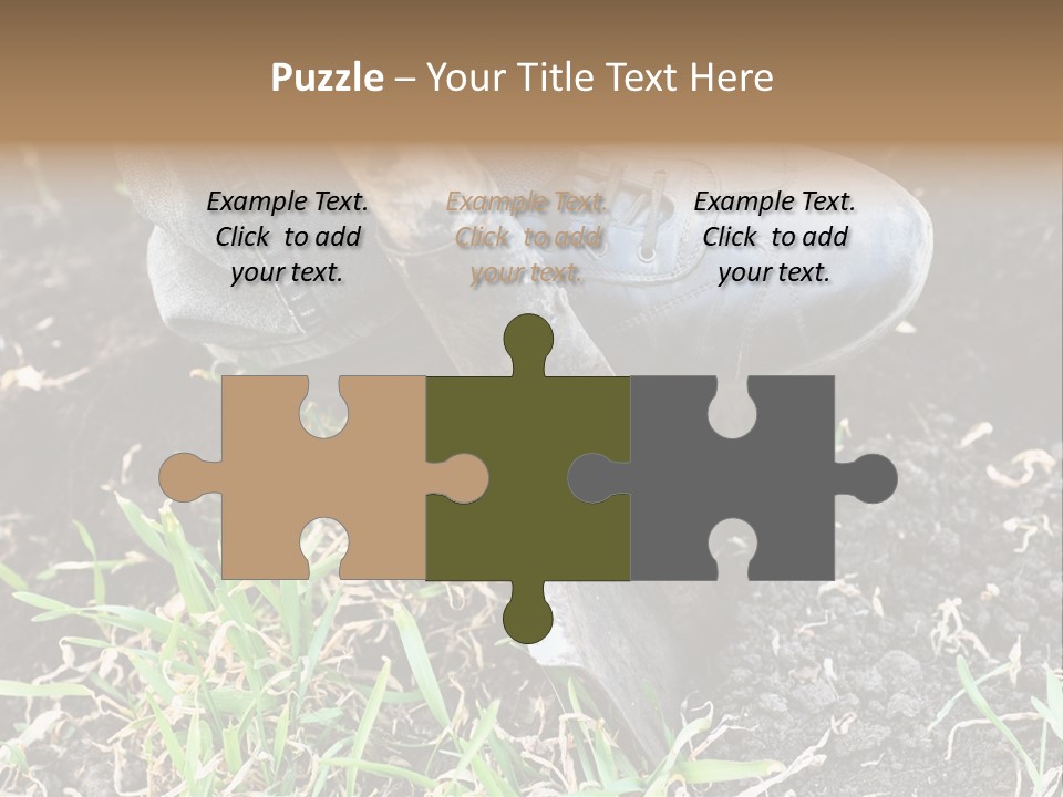 Human Head Shape With Butterflies Flying Out Of The Head PowerPoint Template