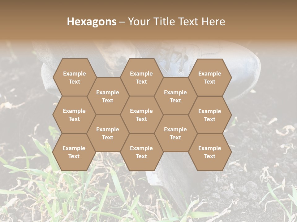 Human Head Shape With Butterflies Flying Out Of The Head PowerPoint Template