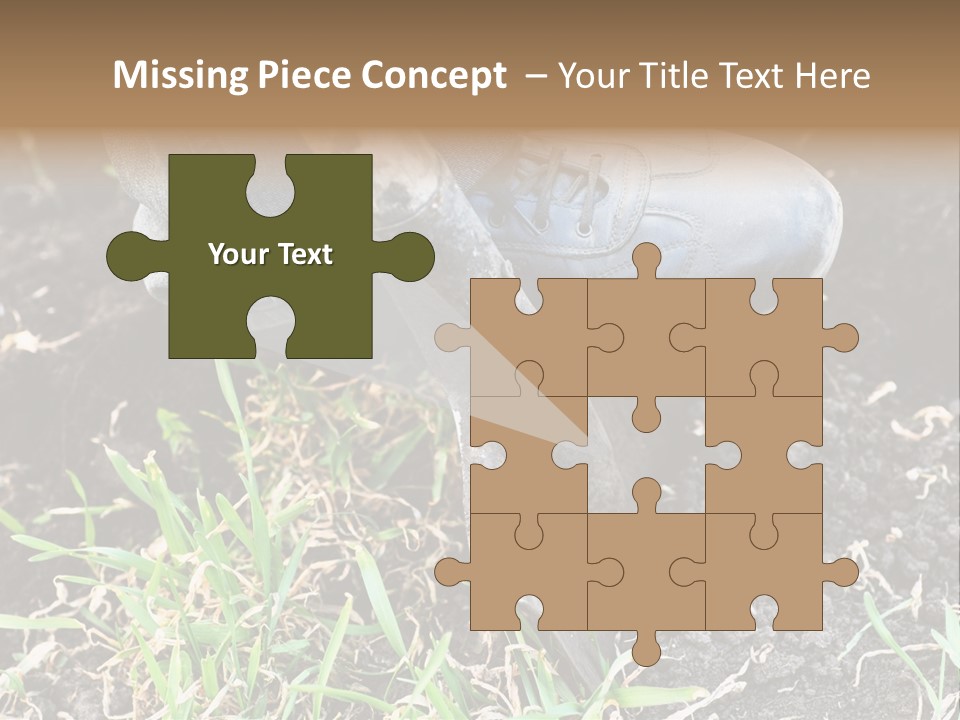 Human Head Shape With Butterflies Flying Out Of The Head PowerPoint Template