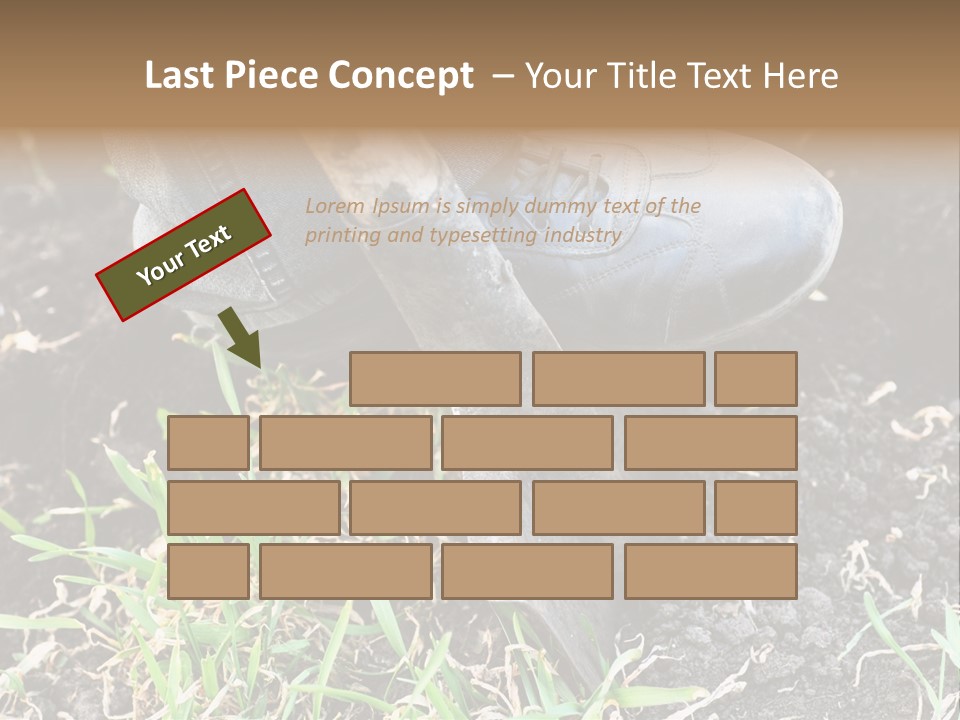 Human Head Shape With Butterflies Flying Out Of The Head PowerPoint Template