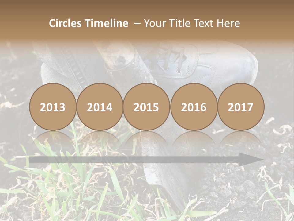 Human Head Shape With Butterflies Flying Out Of The Head PowerPoint Template