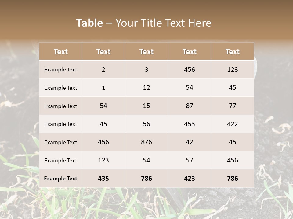 Human Head Shape With Butterflies Flying Out Of The Head PowerPoint Template