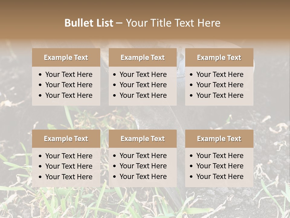 Human Head Shape With Butterflies Flying Out Of The Head PowerPoint Template