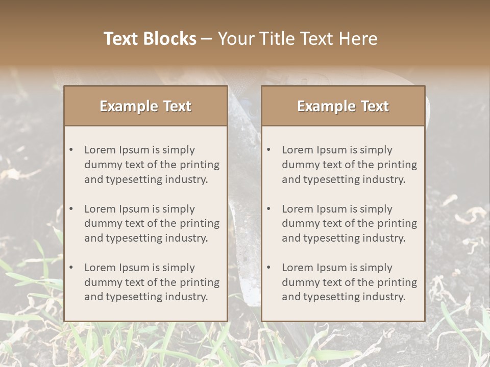 Human Head Shape With Butterflies Flying Out Of The Head PowerPoint Template