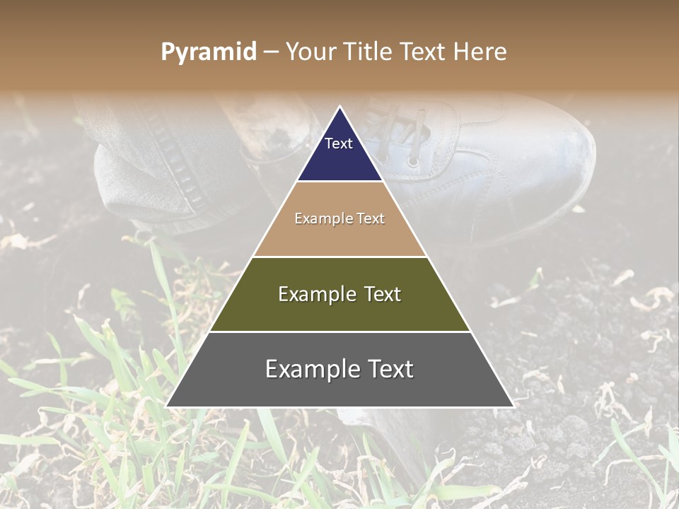 Human Head Shape With Butterflies Flying Out Of The Head PowerPoint Template
