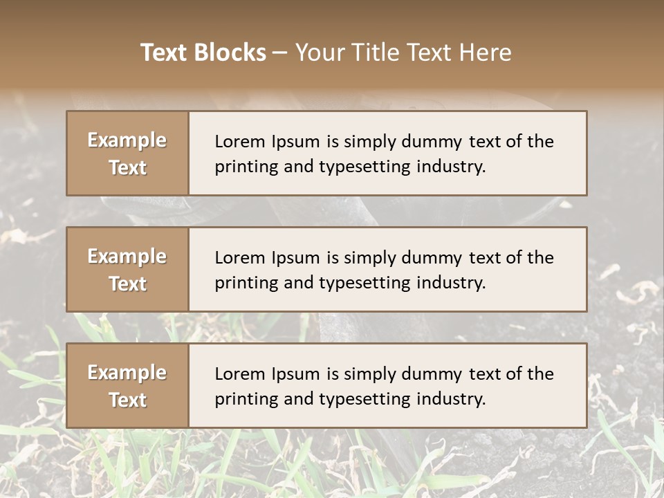Human Head Shape With Butterflies Flying Out Of The Head PowerPoint Template