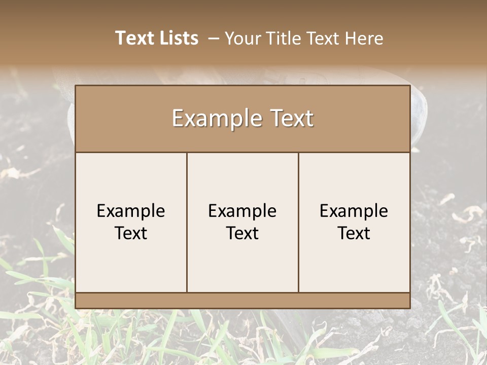 Human Head Shape With Butterflies Flying Out Of The Head PowerPoint Template
