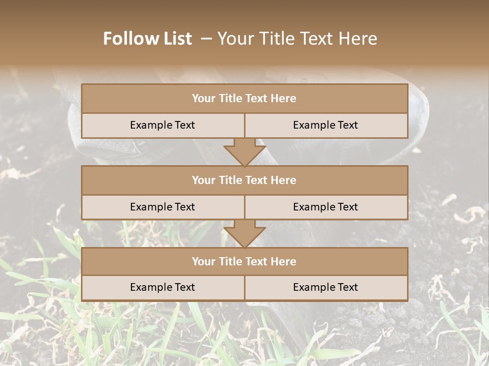 Human Head Shape With Butterflies Flying Out Of The Head PowerPoint Template