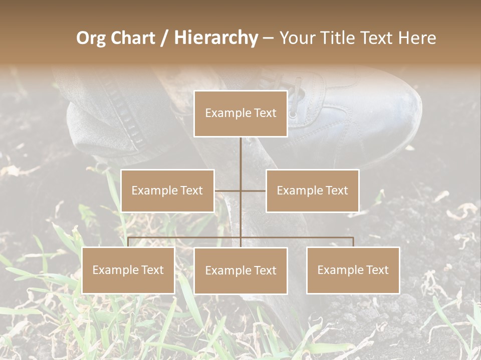 Human Head Shape With Butterflies Flying Out Of The Head PowerPoint Template