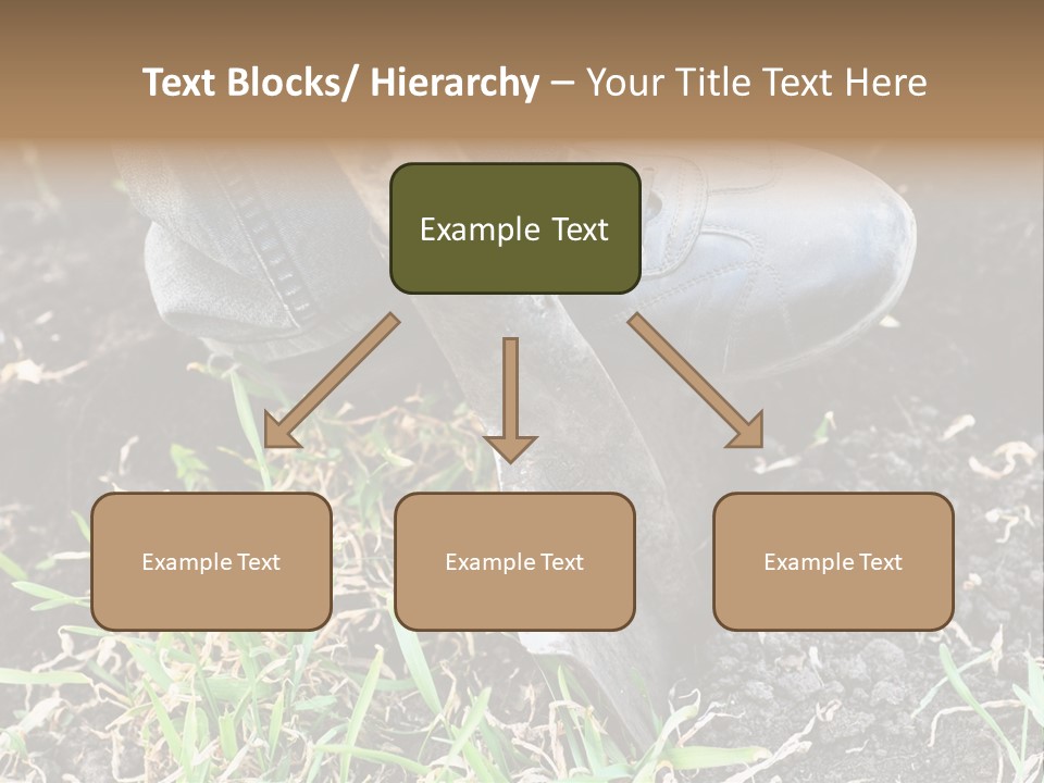 Human Head Shape With Butterflies Flying Out Of The Head PowerPoint Template