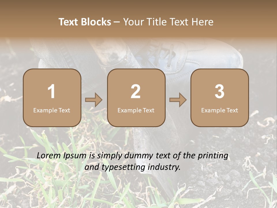 Human Head Shape With Butterflies Flying Out Of The Head PowerPoint Template