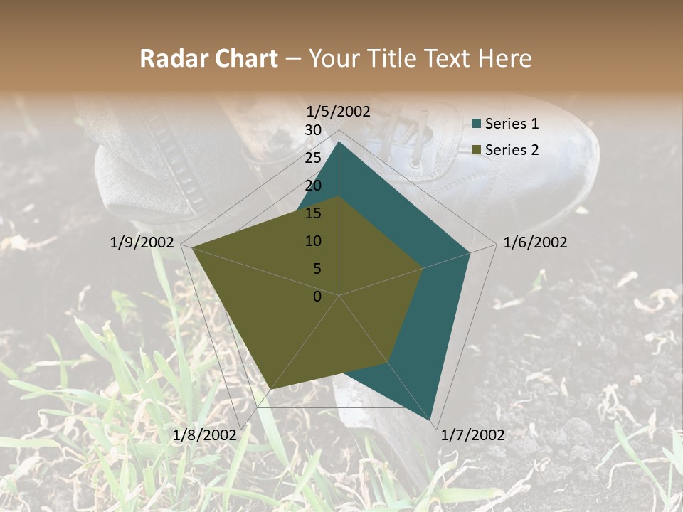 Human Head Shape With Butterflies Flying Out Of The Head PowerPoint Template