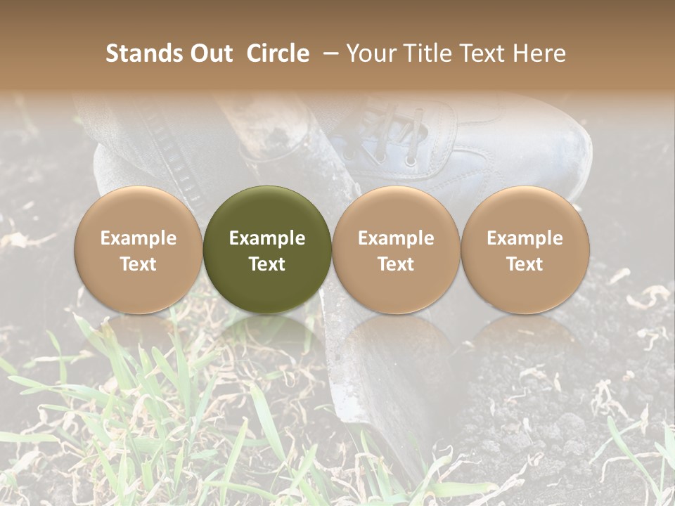 Human Head Shape With Butterflies Flying Out Of The Head PowerPoint Template