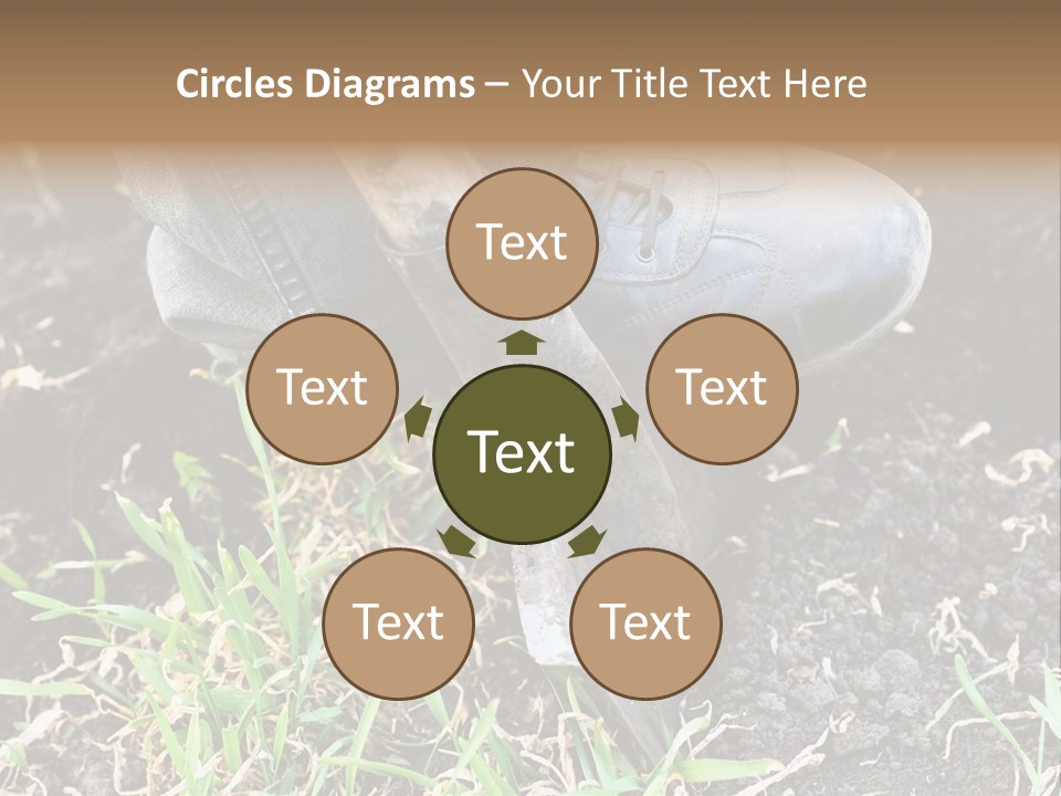 Human Head Shape With Butterflies Flying Out Of The Head PowerPoint Template