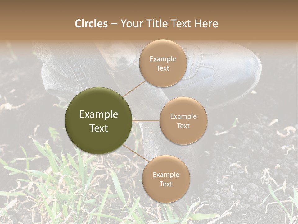 Human Head Shape With Butterflies Flying Out Of The Head PowerPoint Template