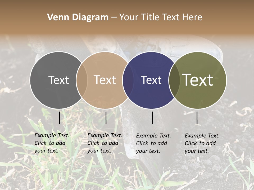 Human Head Shape With Butterflies Flying Out Of The Head PowerPoint Template