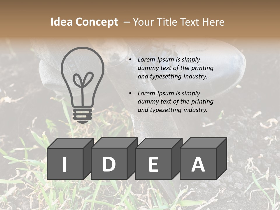 Human Head Shape With Butterflies Flying Out Of The Head PowerPoint Template