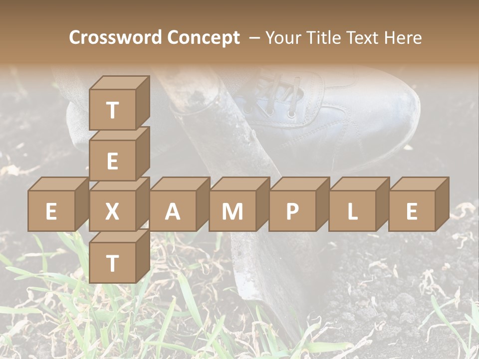 Human Head Shape With Butterflies Flying Out Of The Head PowerPoint Template