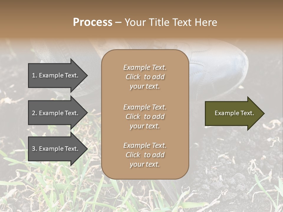 Human Head Shape With Butterflies Flying Out Of The Head PowerPoint Template