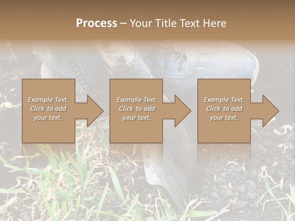 Human Head Shape With Butterflies Flying Out Of The Head PowerPoint Template