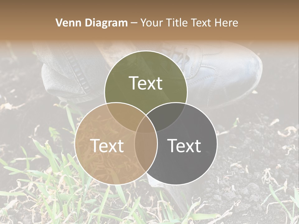 Human Head Shape With Butterflies Flying Out Of The Head PowerPoint Template