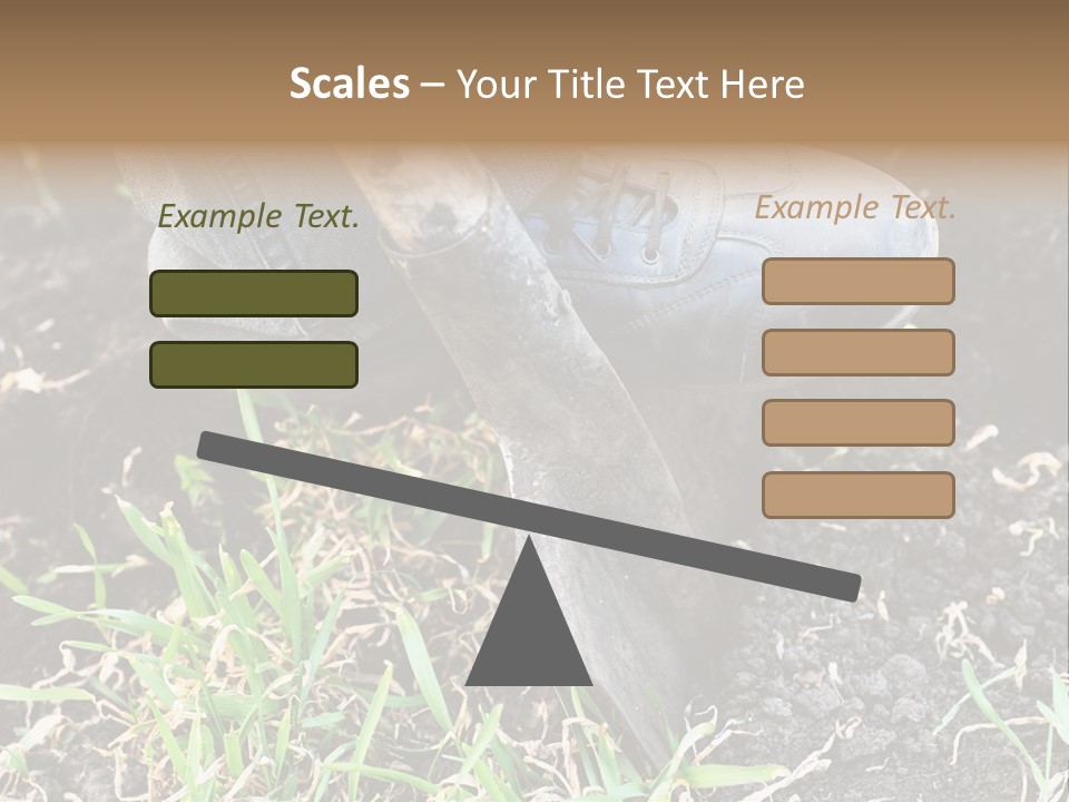 Human Head Shape With Butterflies Flying Out Of The Head PowerPoint Template
