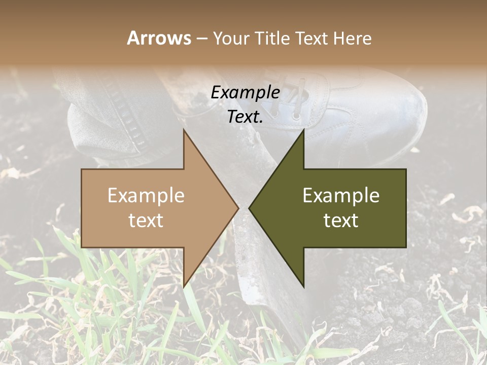 Human Head Shape With Butterflies Flying Out Of The Head PowerPoint Template