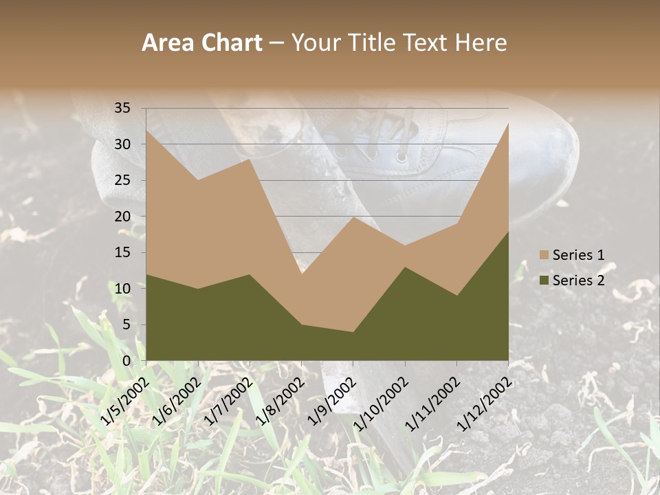 Human Head Shape With Butterflies Flying Out Of The Head PowerPoint Template