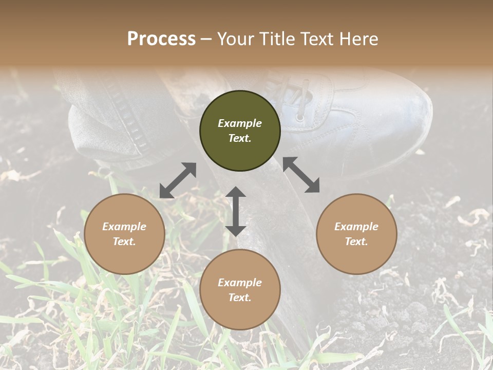 Human Head Shape With Butterflies Flying Out Of The Head PowerPoint Template