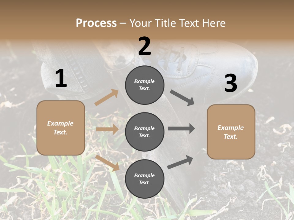 Human Head Shape With Butterflies Flying Out Of The Head PowerPoint Template