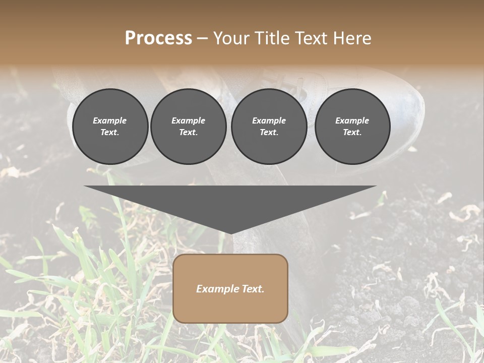 Human Head Shape With Butterflies Flying Out Of The Head PowerPoint Template