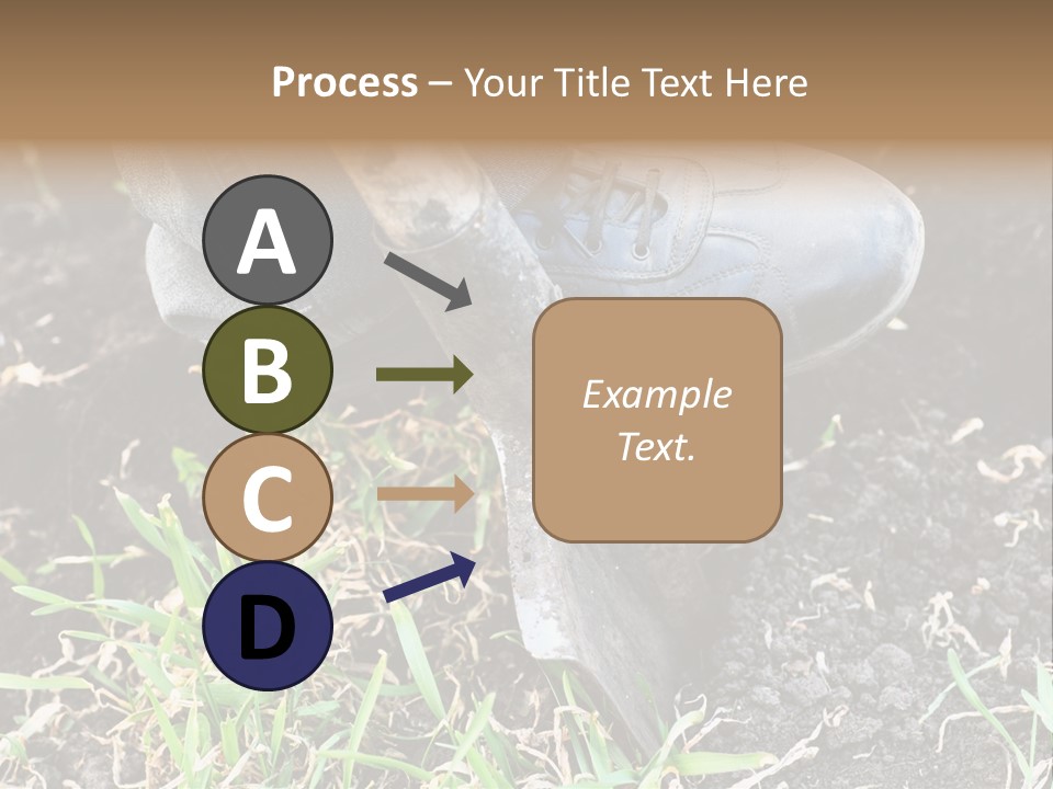 Human Head Shape With Butterflies Flying Out Of The Head PowerPoint Template
