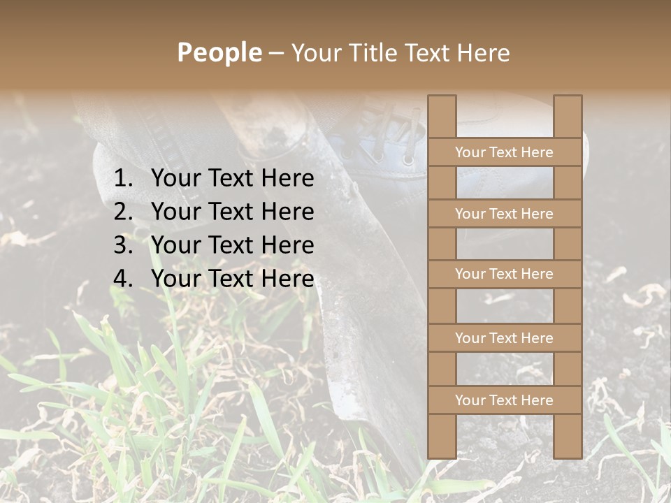 Human Head Shape With Butterflies Flying Out Of The Head PowerPoint Template